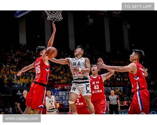 广东男篮CBA球员最新阵容名单与战术布局