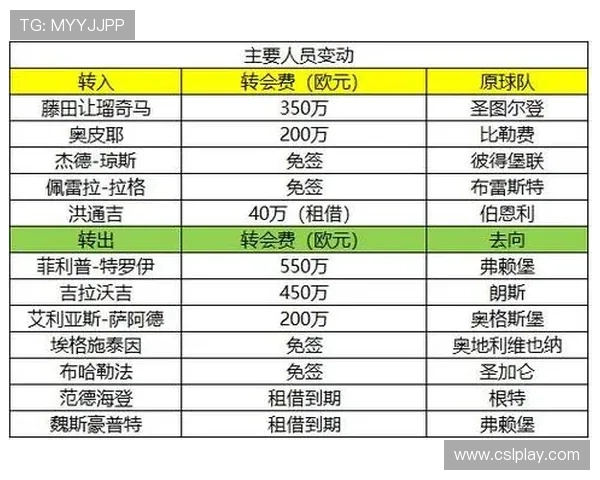 德甲私人球队及其经营模式